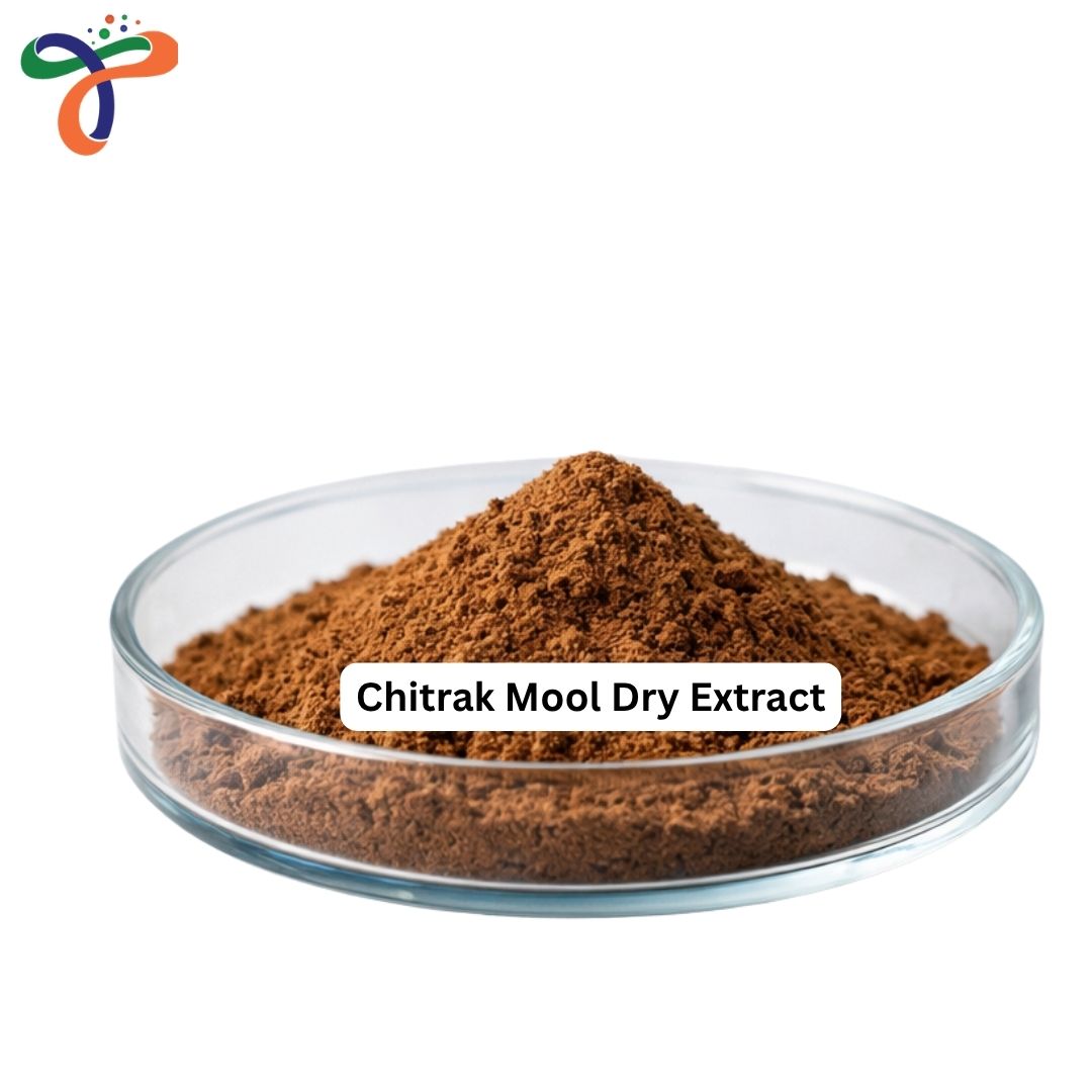 Chitrak Mool Dry Extract
